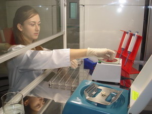 В харьковской лаборатории ГМО колбасу расщепят на молекулы 