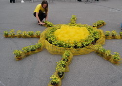 Солнышко из цветов выложили на площади Свободы 