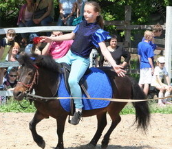 Детей в Харькове научат объезжать коней и фотографировать под водой 