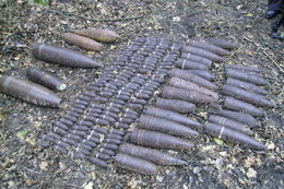 176 снарядов времен войны нашли в лесах под Изюмом 