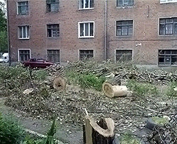 Харьковские защитники парка Горького требуют спилить деревья в парке Артема 