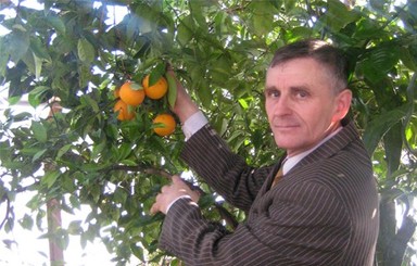 В селе на Полтавщине собрали урожай апельсинов