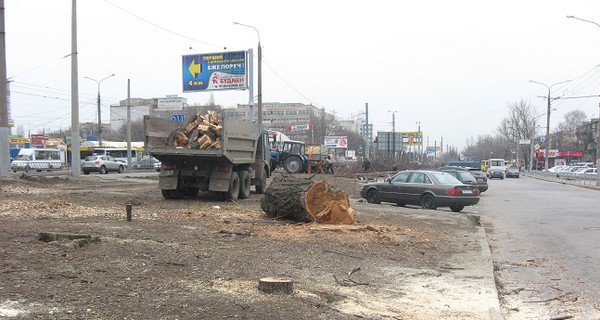 На проспекте Гагарина вовсю валят деревья