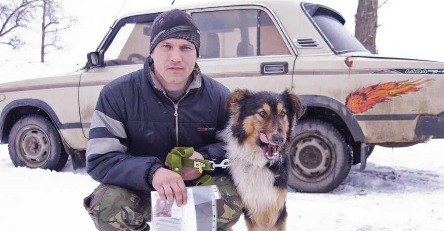 Пса Пушистого спас от усыпления житель Краснокутска