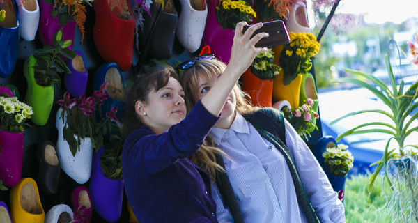 В Харькове появилась необычная цветочная галерея под открытым небом