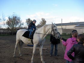Лошади на пенсии помогают малышам выздоравливать 
