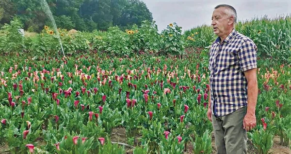 Пенсионер на Тернопольщине выращивает 20 тысяч экзотических кал
