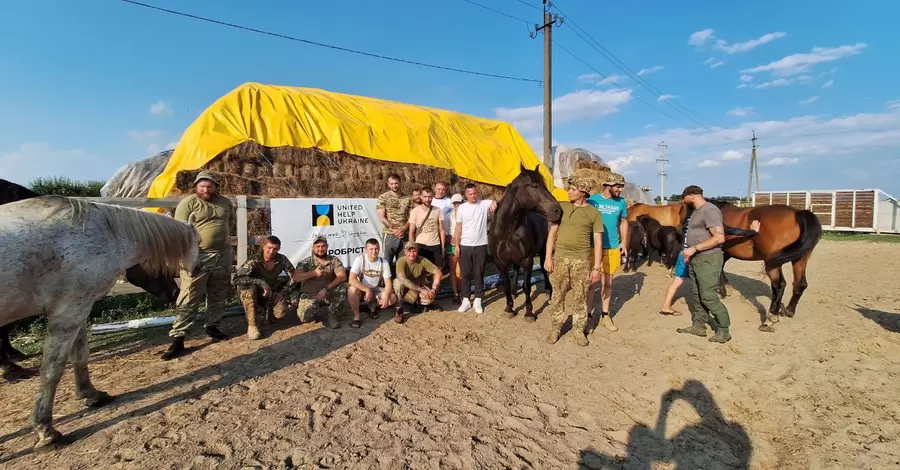 Кони победы. Как под Харьковом лошади помогают военным перезагрузиться